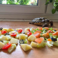 zdjęcie 11
