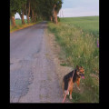 zdjęcie 3