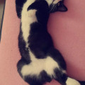 zdjęcie 1