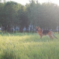 zdjęcie 13
