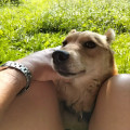 zdjęcie 1