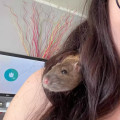 zdjęcie 2