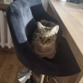 zdjęcie 3