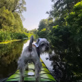 zdjęcie 3