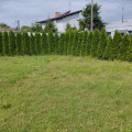 zdjęcie 1