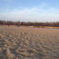 zdjęcie 9