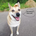 zdjęcie 3