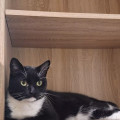 zdjęcie 1