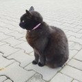zdjęcie 1