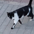 zdjęcie 3