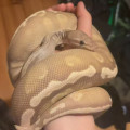 zdjęcie 2