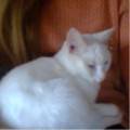 zdjęcie 11