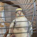 zdjęcie 8