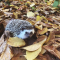 zdjęcie 2