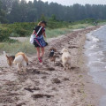 zdjęcie 16