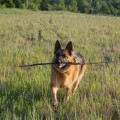 zdjęcie 15