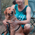 zdjęcie 7