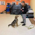 zdjęcie 2