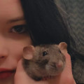 zdjęcie 1
