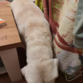 zdjęcie 1