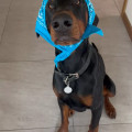 zdjęcie 1
