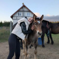 zdjęcie 10