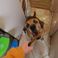 zdjęcie 4