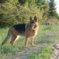 zdjęcie 16
