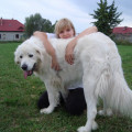zdjęcie 18