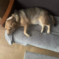 zdjęcie 3