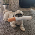 zdjęcie 3
