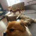 zdjęcie 8