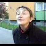 opieka zwierząt - zdjęcie profilowe użytkownika Kacper P.