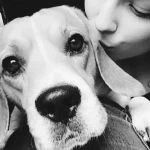 opieka zwierząt - zdjęcie profilowe użytkownika Monika P.