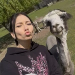 opieka zwierząt - zdjęcie profilowe użytkownika Julia W.
