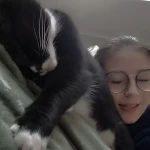 opieka zwierząt - zdjęcie profilowe użytkownika Julia D.