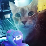 opieka zwierząt - zdjęcie profilowe użytkownika Zofia R.