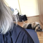 opieka zwierząt - zdjęcie profilowe użytkownika Ola P.