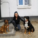 opieka zwierząt - zdjęcie profilowe użytkownika Anna P.