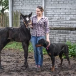 opieka zwierząt - zdjęcie profilowe użytkownika Katarzyna D.