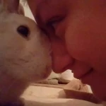 opieka zwierząt - zdjęcie profilowe użytkownika Dagmara P.