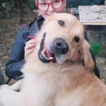 opieka zwierząt - zdjęcie profilowe użytkownika Paulina M.