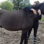 opieka zwierząt - zdjęcie profilowe użytkownika Julia W.
