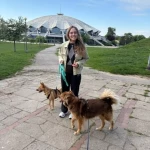 opieka zwierząt - zdjęcie ogłoszenia 2 psy - nocleg w domu opiekuna, 26.06 - 05.07