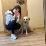opieka zwierząt - zdjęcie profilowe użytkownika Gabrysia L.