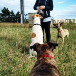 opieka zwierząt - zdjęcie profilowe użytkownika Kornelia L.