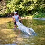 opieka zwierząt - zdjęcie ogłoszenia Spacery z psem rano i wieczorem 