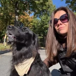 opieka zwierząt - zdjęcie profilowe użytkownika Karina K.