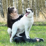 opieka zwierząt - zdjęcie profilowe użytkownika Katarzyna B.