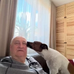 opieka zwierząt - zdjęcie ogłoszenia pies - nocleg w domu opiekuna, 16.06 - 25.06